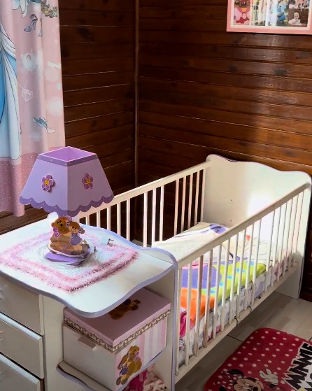 Chácara à Venda em Porto União - Aproximadamente 2 Alqueires com Casa — foto 8